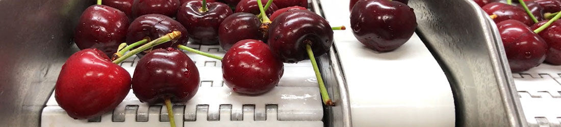 APPLICATION industrial FOOD APPL_industrialFOOD_tattile