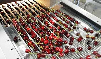 sorting Tattile Application sorting Tattile Application